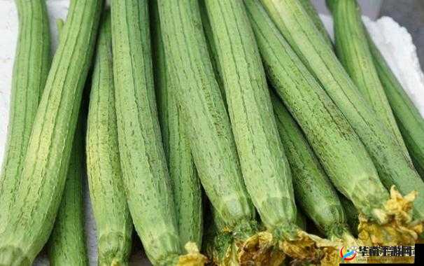 草莓香蕉榴莲丝瓜十八岁可以吃吗之相关食物营养与食用注意事项