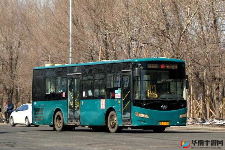 XXXX 性公交列车 XXXXⅩ：关于其独特设计与重要意义的探讨