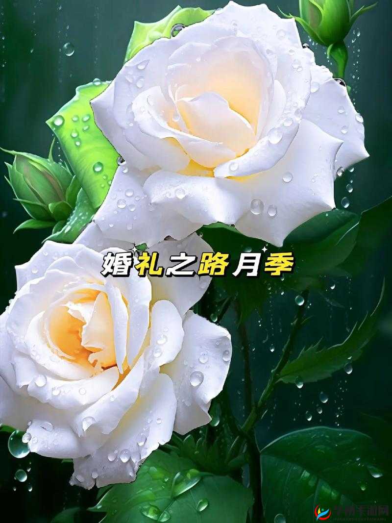 ：小敏的婚礼：迷失的爱情之路