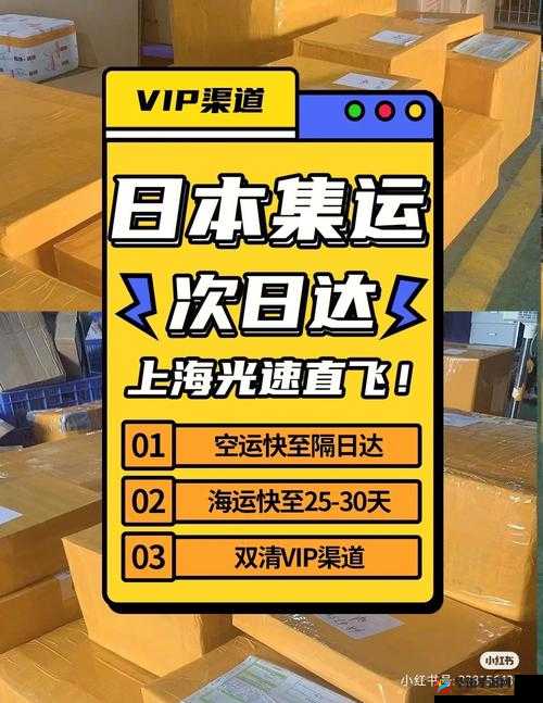 日本尺码专线欧洲 B1B2 升级：开启全新物流通道