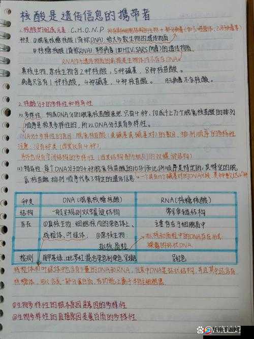 RNA 与 DNA 杂交过程及其对生物遗传信息传递的重要影响