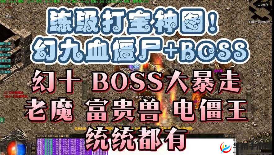 传奇世界手游发家之路，稀有怪物地点介绍详解及其资源管理策略