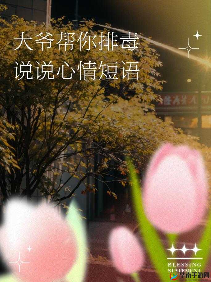 让大爷再帮你排排毒:一段匪夷所思的经历