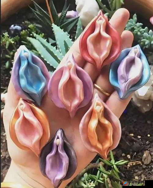 成熟女性私密部位特写：阴毛浓密，大隂唇丰满诱人