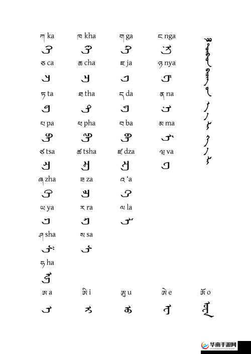 蒙古 B 型和 B 型比较：探寻两种类型的深层差异与相似之处