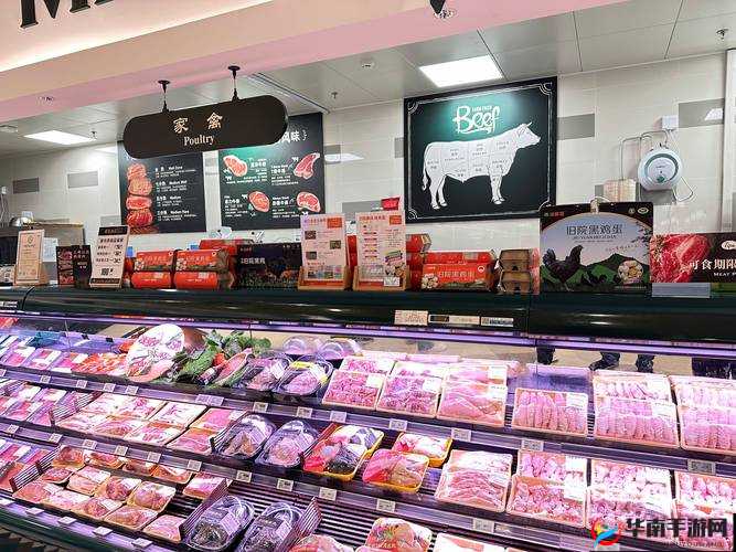 超级肉禽系统保安：守护肉禽系统安全的忠诚卫士