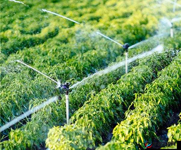 优质 RB 灌溉系统 GH 助力高效农业灌溉发展