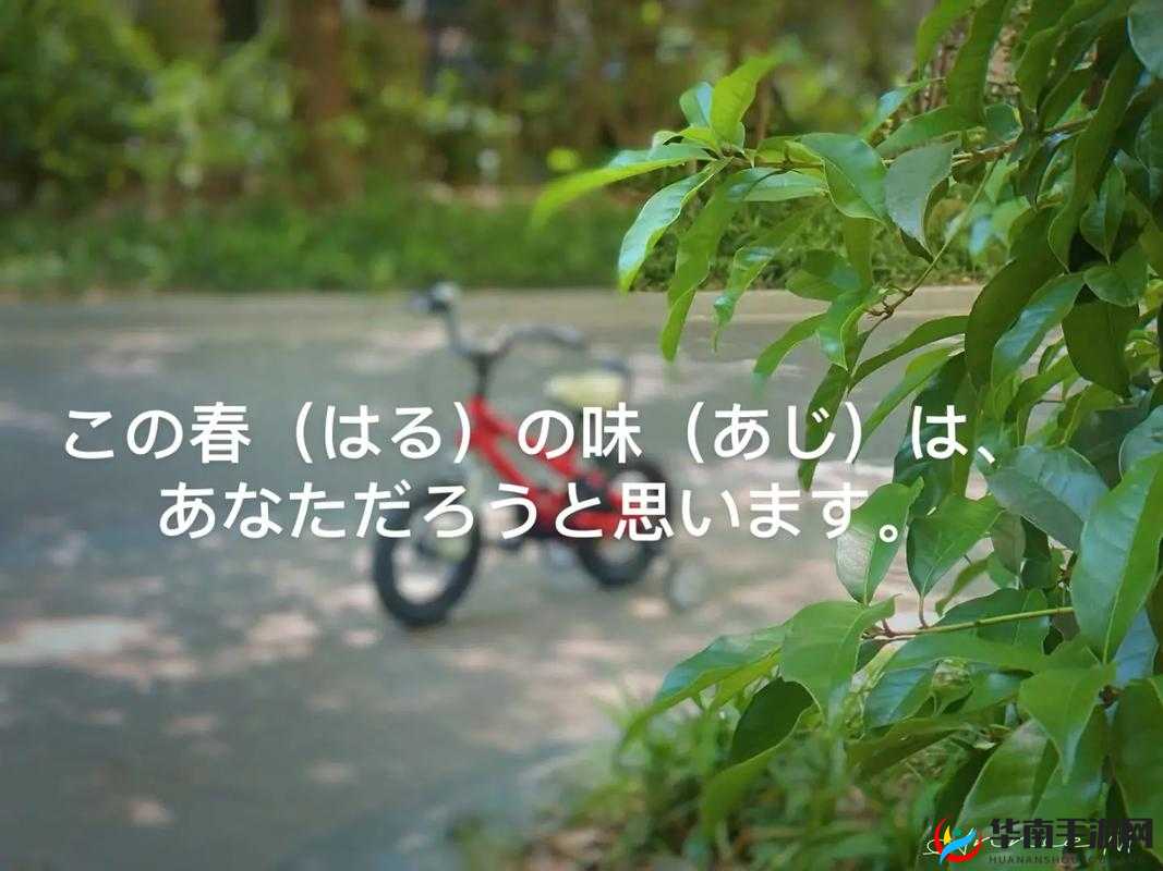 褒めるべきはそれだけだ：其独特价值令人称赞