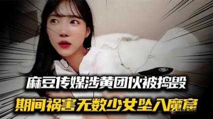 MD 豆传媒一二三区进站口在线看：畅享精彩影视无需等待