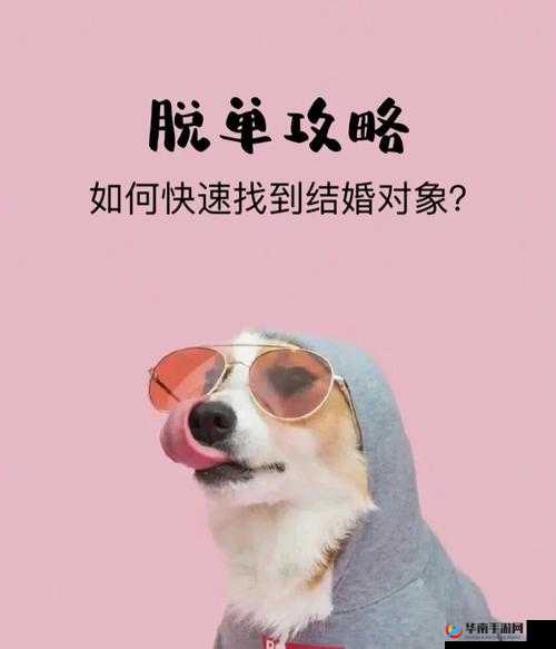 同是天涯沦落狗，口水封神教你如何快速脱单在资源管理中的重要性及策略