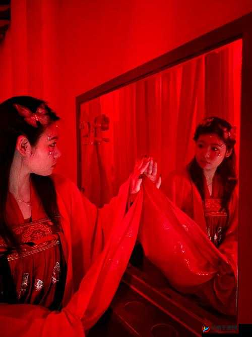 日荡妇怡红院:探寻那独特的神秘之地