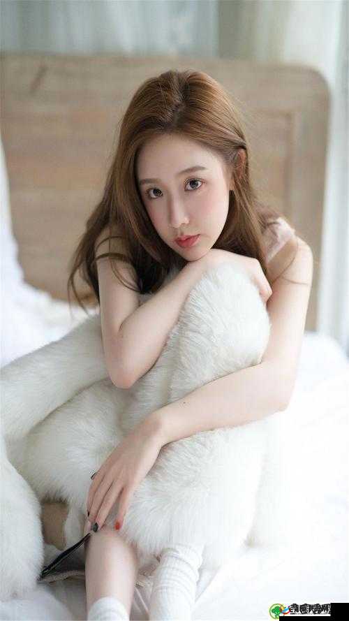 九牛电影天堂高分作品超多:海量优质影视资源等你来享