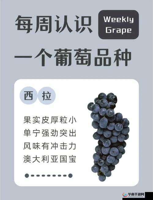 揭秘大白兔上的两颗葡萄：隐藏的趣味奥秘