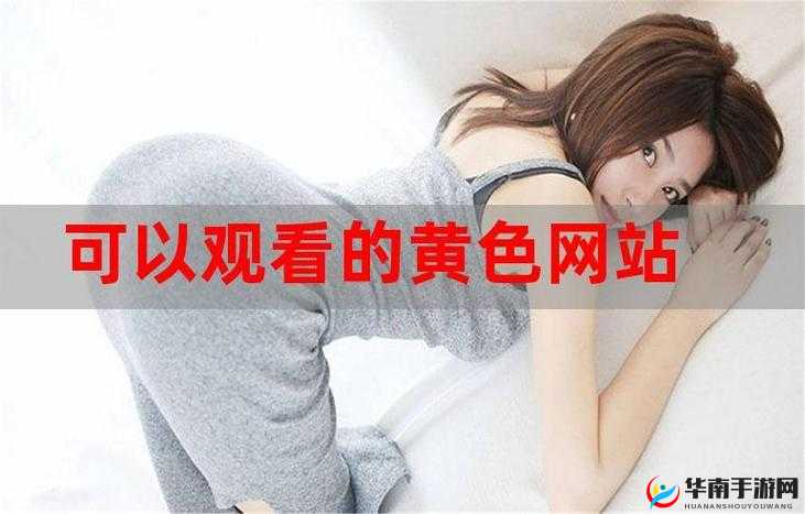 免费网站在线观看人数在哪买：全面详细的购买渠道介绍