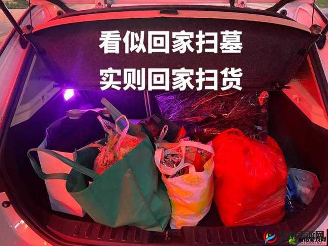 小扫货水能么多公交车:带你领略城市出行的独特魅力