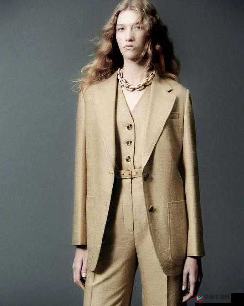 XXXXXL19-2024 年度时尚潮流新趋势探析