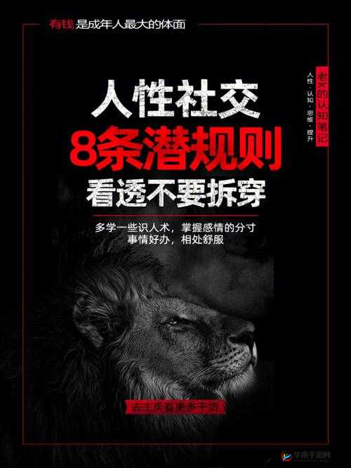 欧洲人善交：探究其背后的文化因素与社交技巧