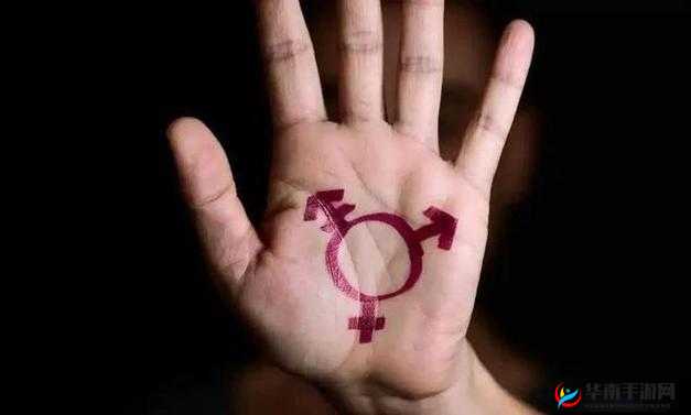 性别自由凸轮管汇编：探索性别与性别的自由边界