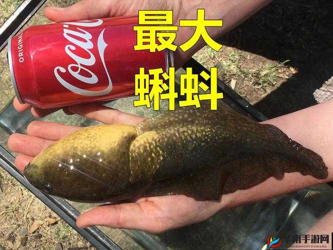 九色 91 蝌蚪：探索未知的奇幻世界