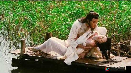 黄色成人 3D 肉蒲团艹艹涩涩视频软件:探索未知的激情世界