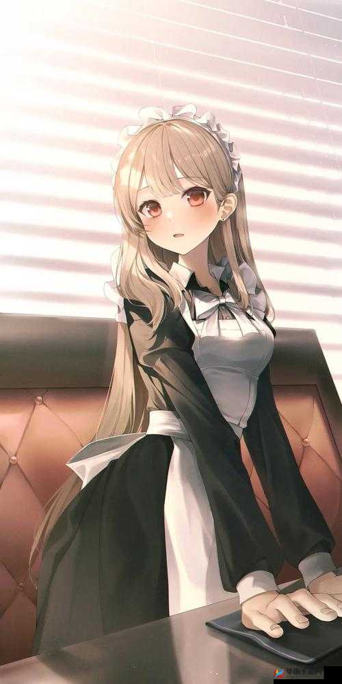 女仆之欢：关于女仆们欢乐故事的详细探讨与呈现