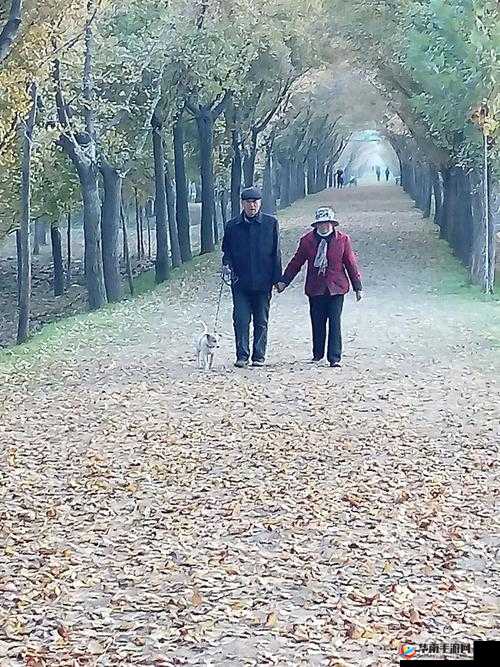 呆哥新婚兰兰三部曲:见证浪漫爱情开启幸福旅程