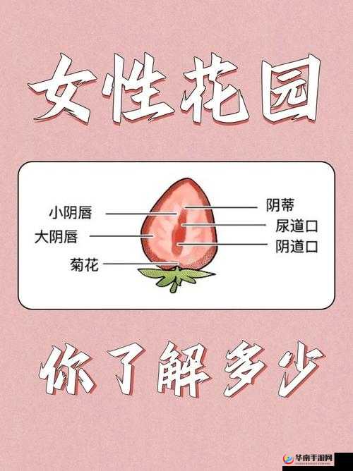 女性大荫蒂荫道多毛茸茸：探索女性私密部位的自然之美