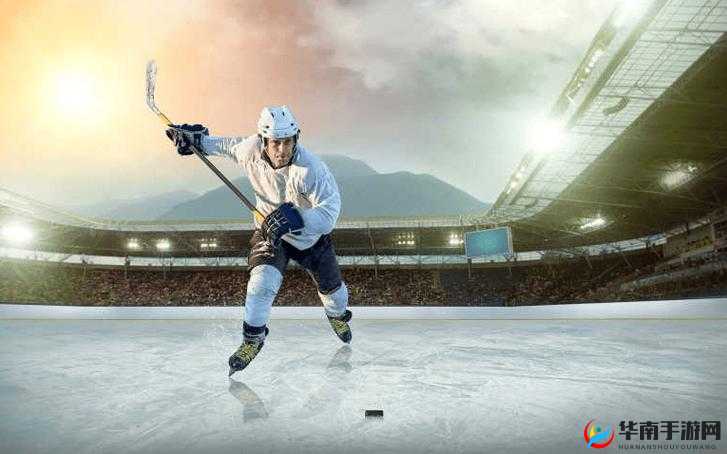 尾巴插件 PLAY 冰球:畅享激情冰球运动之魅力