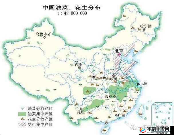 国产一产区二产区：关于其详细介绍与深入分析