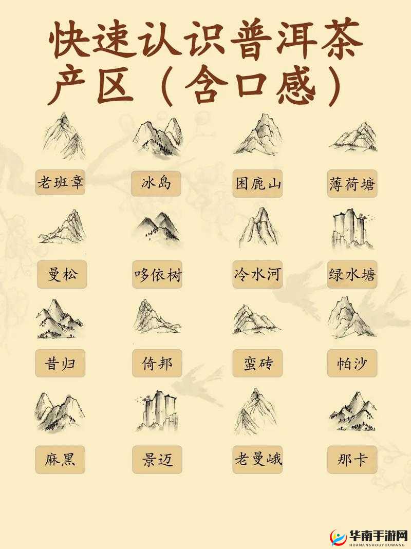 中文字幕一二三产区区别：详细解析各产区的特点与差异