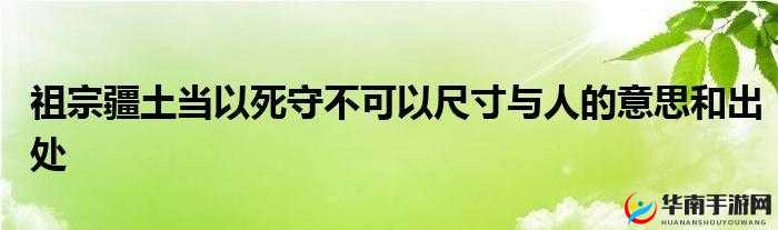 本王的尺寸可还满意：尺寸背后的王者风范与独特魅力