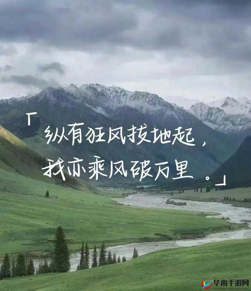 夜夜草人生也充满了挑战和困难：梦想与现实的碰撞