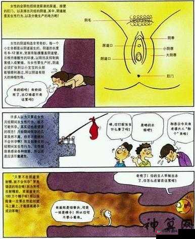 成人私密：探索两性世界的精彩