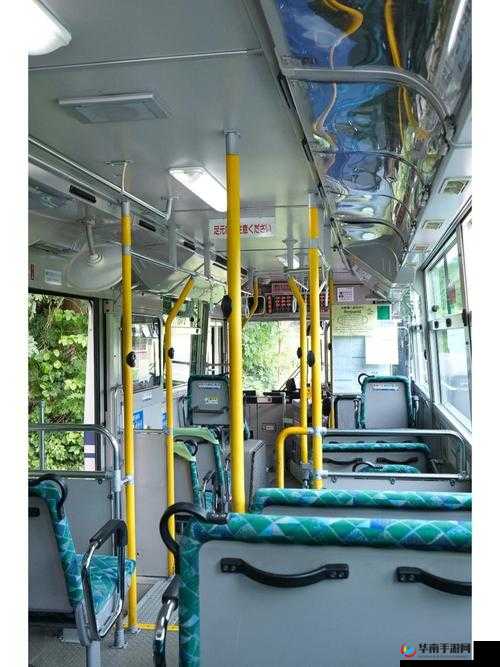 公交车最后一排被群 C:揭秘未知的角落