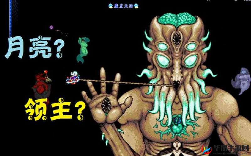 泰拉瑞亚霜雪舞者，速度与激情的完美诠释