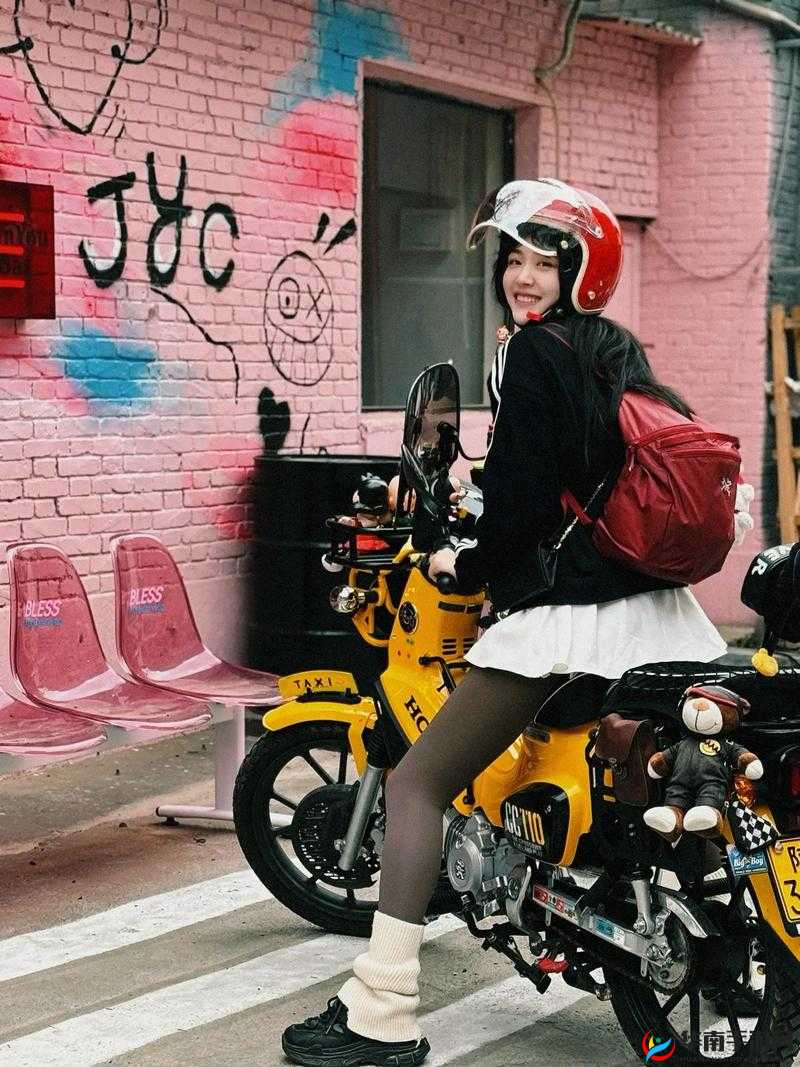 肉肉的小黄车:带你穿梭城市街头的独特伙伴