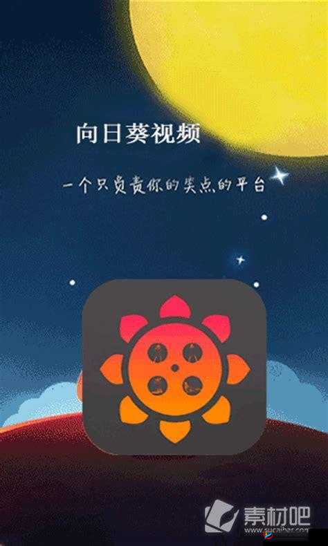 草莓向日葵丝瓜幸福宝：探寻别样的生活美好与乐趣