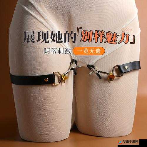 男男罚跪夹玉势 SM 调教视频：极致探索与刺激演绎