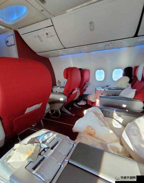 头等舱客服的特殊待遇 2 中文:揭秘高端服务的秘密