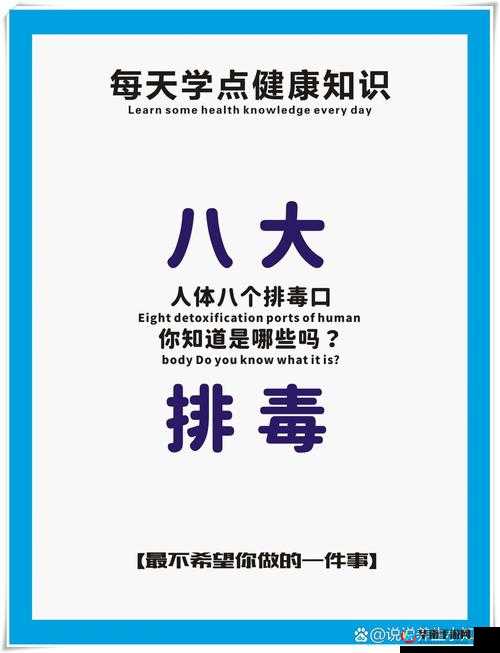 小雅大爷是在帮你排毒：排毒路上的真挚助力者