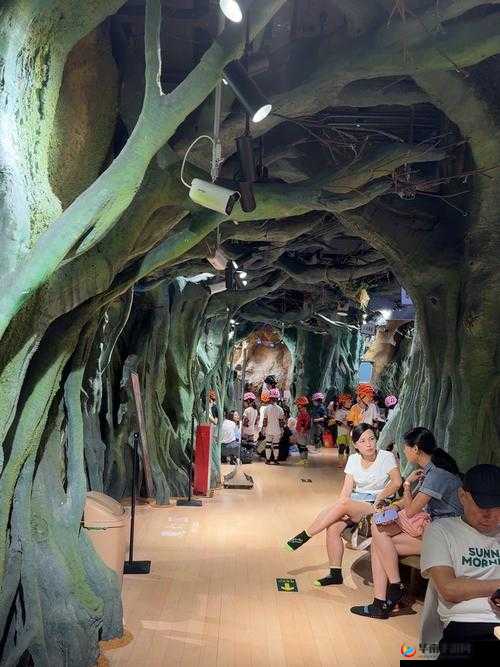 百姓阁另类：探索未知的奇妙世界