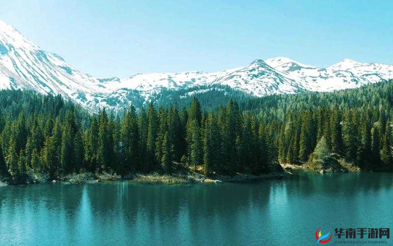 天堂视频在线观看高清，精彩大片，让你畅享视觉盛宴