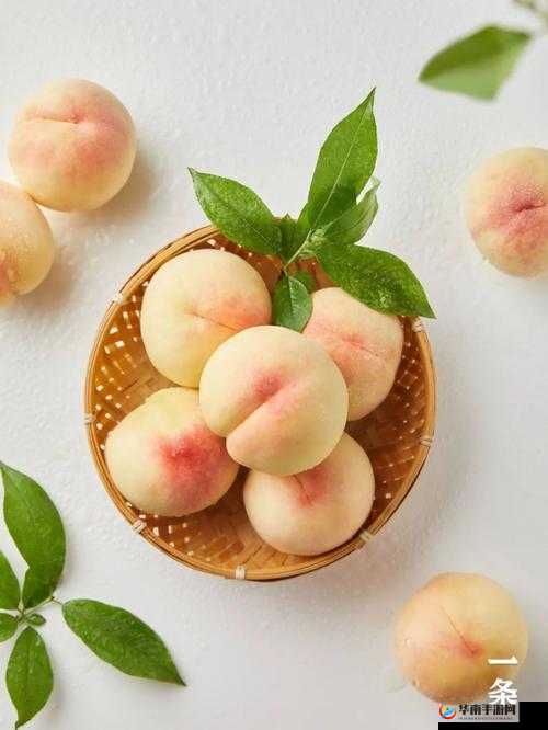 美丽的水蜜桃 2 经典之语:那一抹独特的甜美芬芳