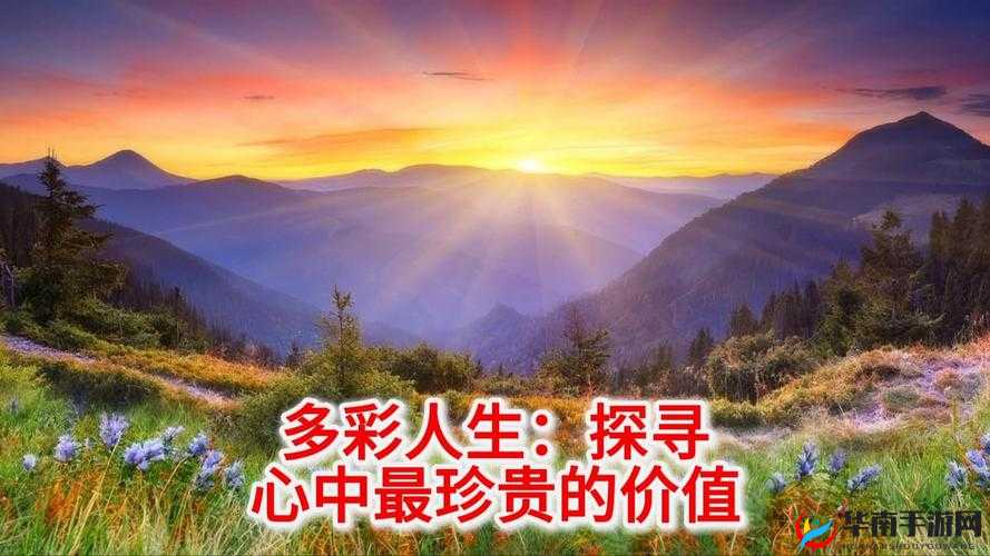 国内稀缺呦XXX：探寻其珍贵之处与独特价值所在