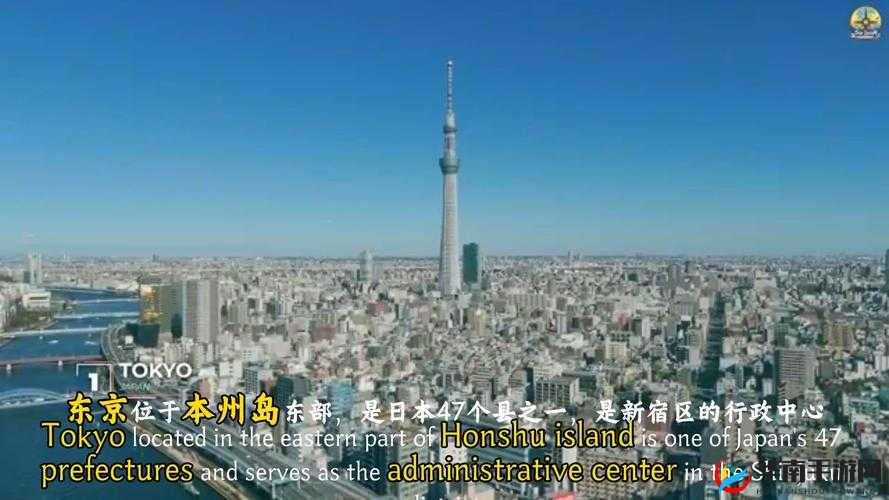 1019 岁的 Macbook 日本：跨越时空的科技奇迹