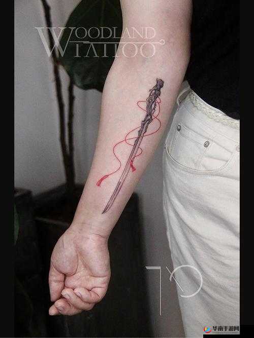 刀剑兵器谱，独特纹身系统，彰显个性风采