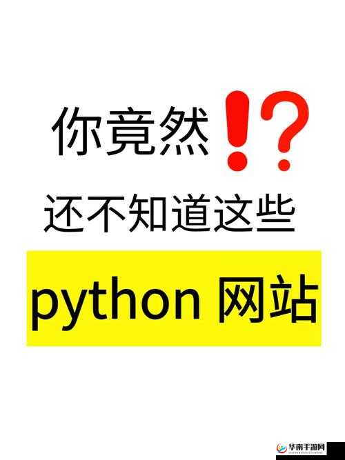 成品网站 python 助力打造高效便捷网站