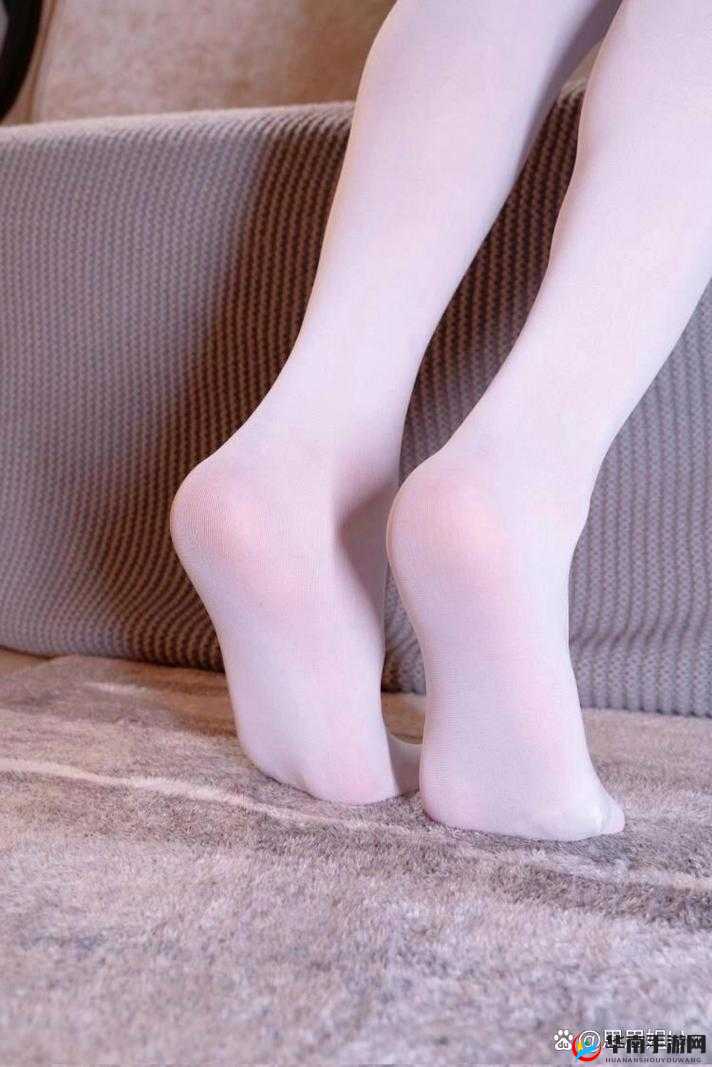 xxxxxx 白丝：关于其独特魅力与文化内涵的深入探讨