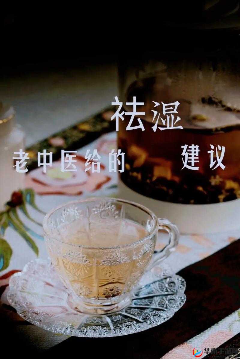 小雨与老中医的祛湿奇妙经历：从传统中探寻祛湿之道
