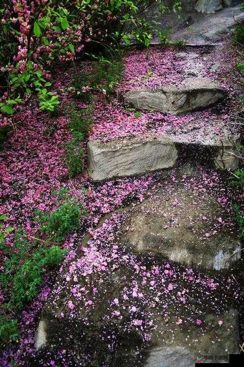 桃花源洞口芳草萋萋但见落英缤纷的神奇之景